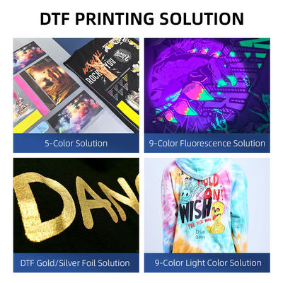 Full-Automatic DTF Printer with 0.8KW Power and 720*2400 dpi Resolution for High-Accuracy T-Shirt Printing